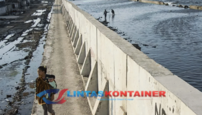 Air Laut Jakarta Sudah Lebih Tinggi dari Daratan, Warga Pesisir Was-was!