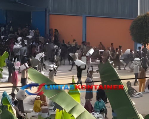 Jalur Logistik Lumpuh Total, Gudang Bulog di 7 Kabupaten Sumatera Dijarah Warga!