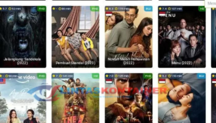 IP 206.189.151 Viral Karena Indoxxi dan Rebahin, Ini Penjelasannya!