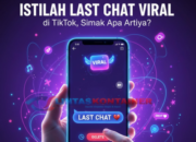 Istilah Last Chat Viral di TikTok, Simak Apa Artinya?