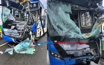 Bus Transjakarta Adu Banteng di Jalan Raya, Simak Kronologi Lengkapnya!