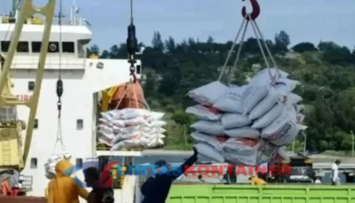 Indonesia Siap Ekspor Beras April 2026, Simak Penjelasan Lengkapnya!