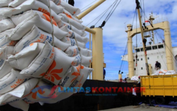 Indonesia Siap Ekspor Beras April 2026, Simak Penjelasan Lengkapnya!