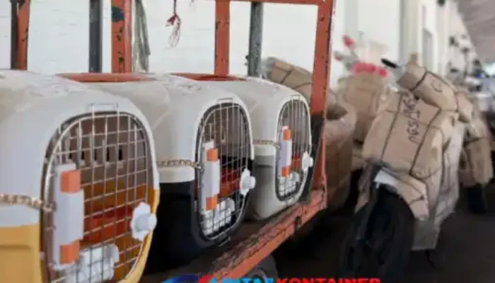 Periode Ramadan-Idulfitri, KAI Logistik Catat 13.435