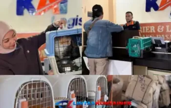 Periode Ramadan-Idulfitri, KAI Logistik Catat 13.435