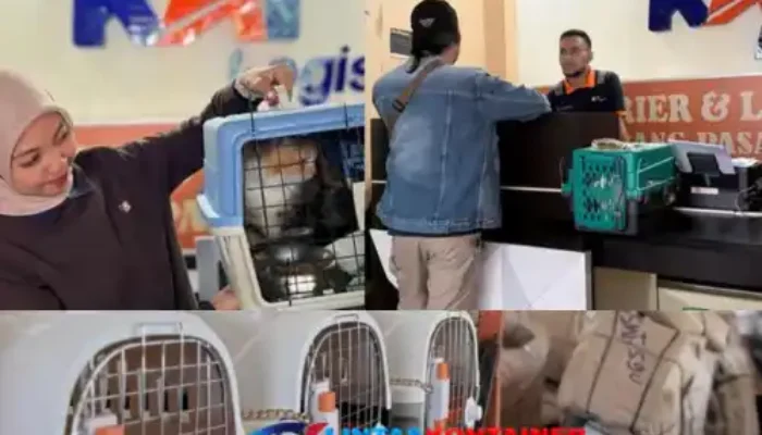 Periode Ramadan-Idulfitri, KAI Logistik Catat 13.435 Pengiriman Hewan Peliharaan