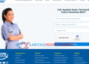 Cara Akses bsu.bpjsketenagakerjaan.go.id Login