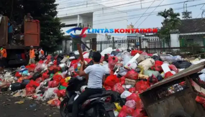 TPS Liar Pasar Minggu